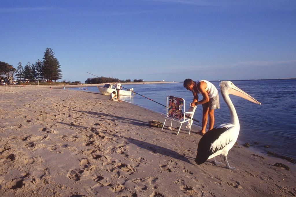 Waterview Resort Caloundra Bagian luar foto